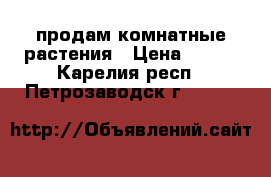 продам комнатные растения › Цена ­ 500 - Карелия респ., Петрозаводск г.  »    